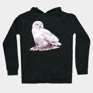 Snowy Owl Hoodie